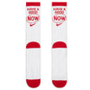 Nike Unisex Everyday Plus Cushioned Crew Socks (1 Pair)