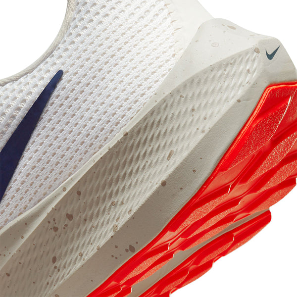 Nike Men's Pegasus 40
