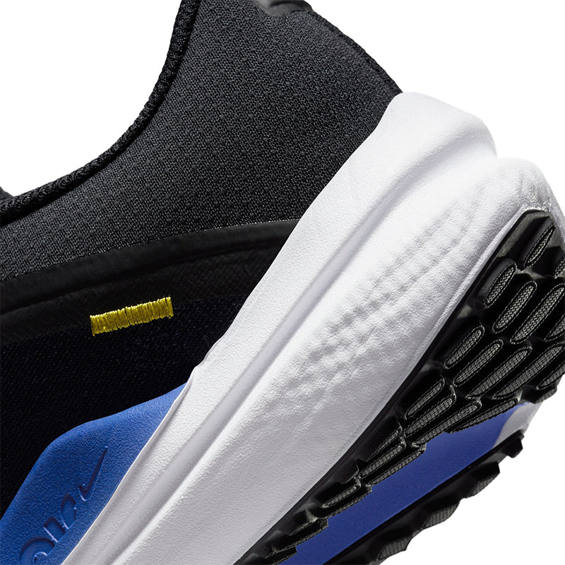 Nike Men's Winflo 10