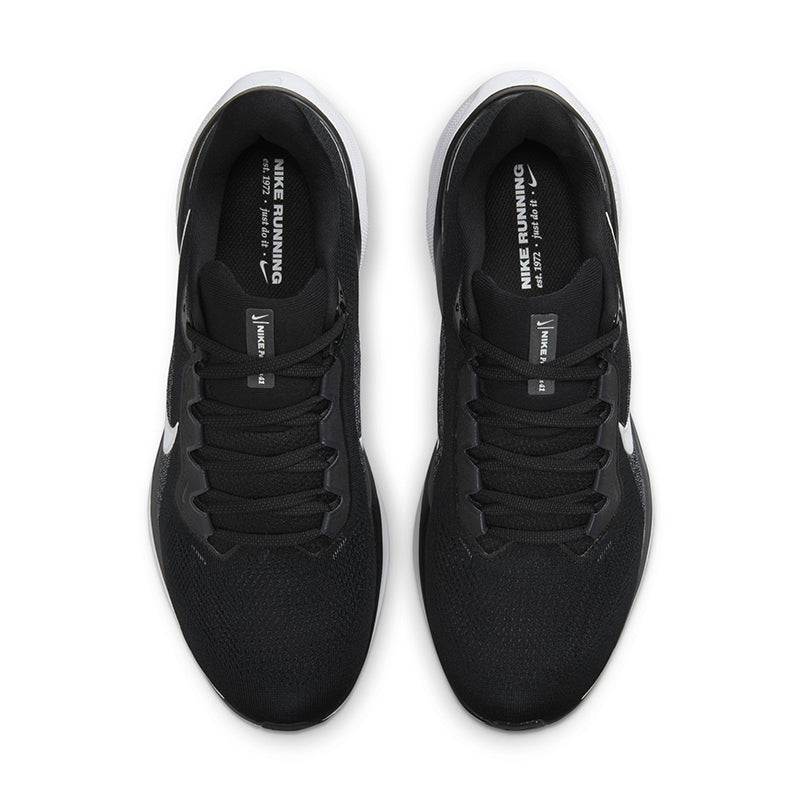 Nike Men's Pegasus 41