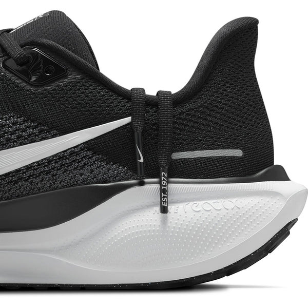 Nike Men's Pegasus 41