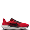 Nike Men's Pegasus 41
