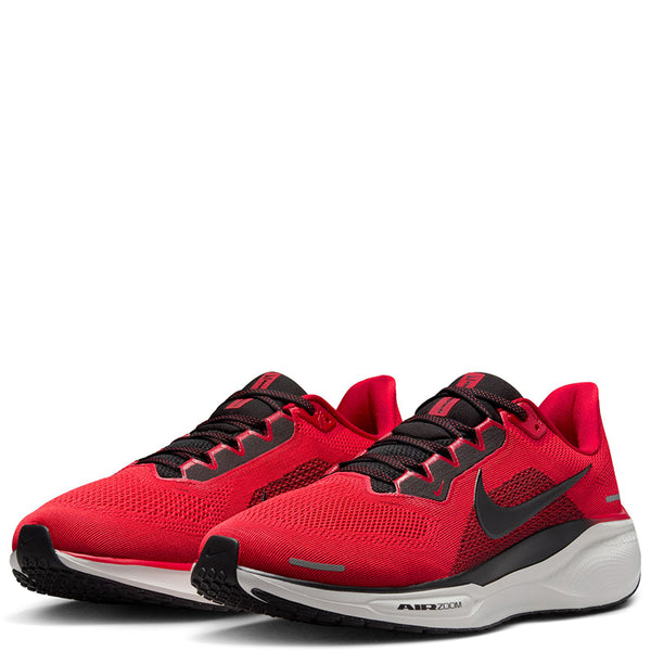Nike Men's Pegasus 41
