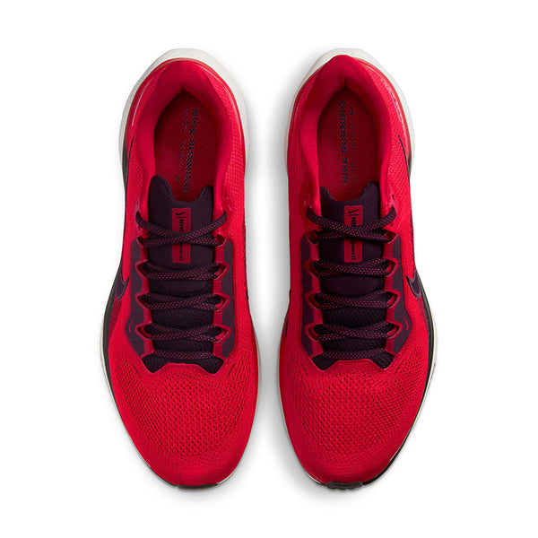 Nike Men's Pegasus 41