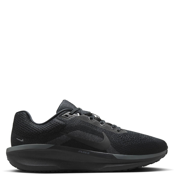 Nike Men's Winflo 11