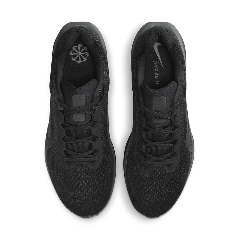 Nike Men's Winflo 11