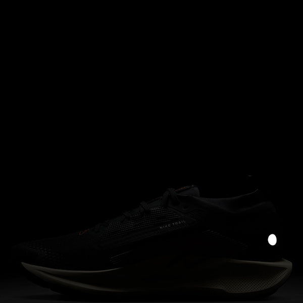 Nike Men's Pegasus Trail 5 GORE-TEX Waterproof Trail