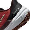 Nike Women's Air Winflo 9