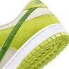 Nike Unisex SB Dunk Low Pro Shoes Skate Shoes