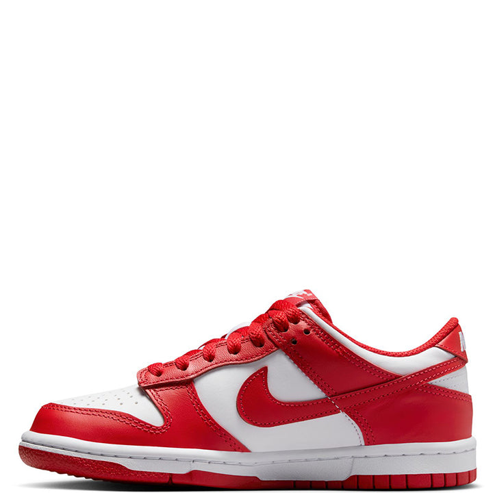 mens nike dunks for sale