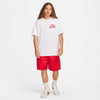 Nike Men's SB Skate T-Shirt