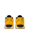 Nike Men's Lebron Witness IX EP