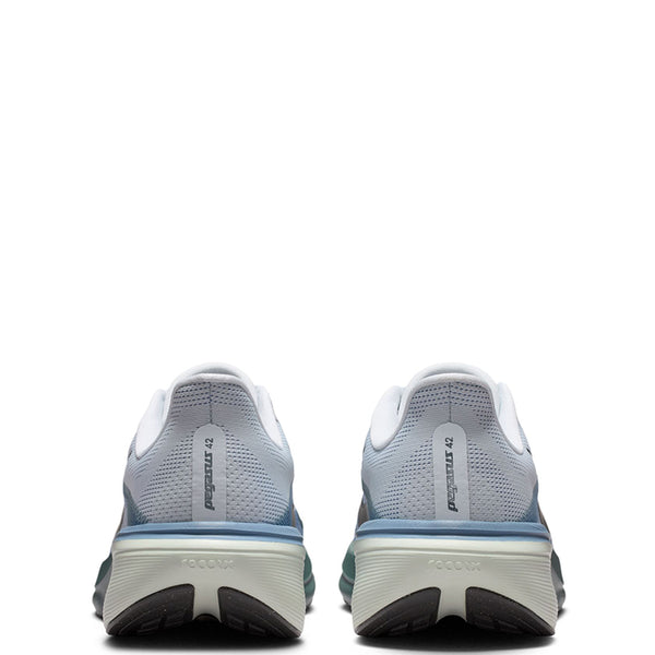 Nike Men's Pegasus 42