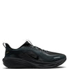 Nike Men's Pegasus 42 GORE-TEX