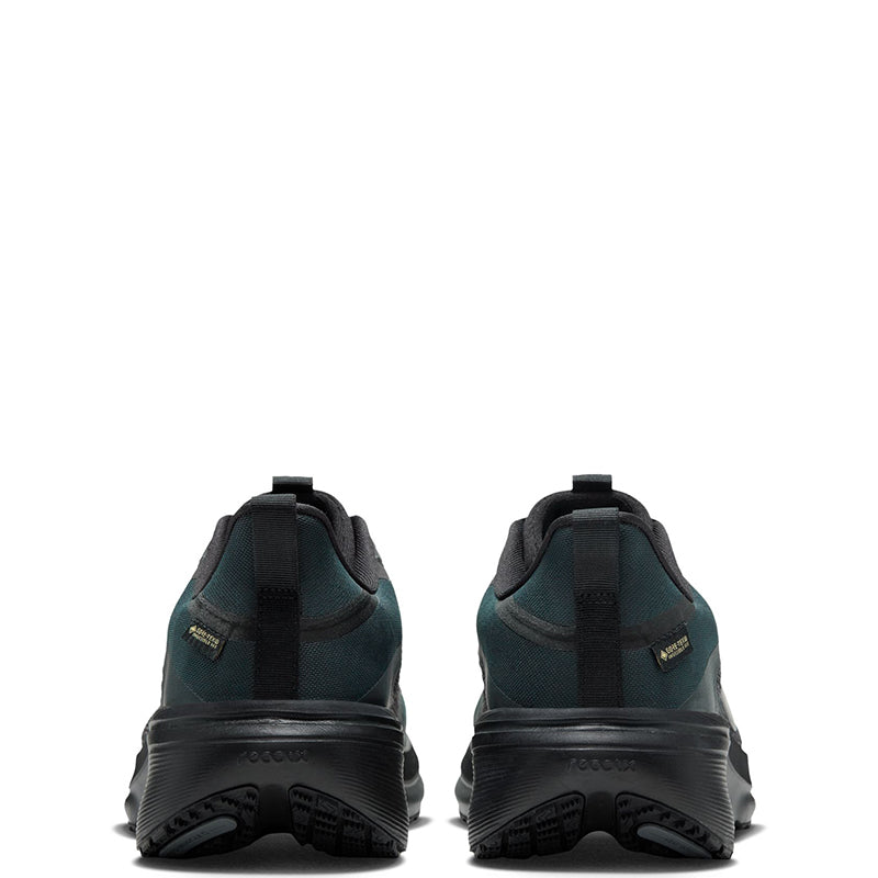 Nike Men's Pegasus 42 GORE-TEX
