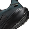 Nike Men's Pegasus 42 GORE-TEX
